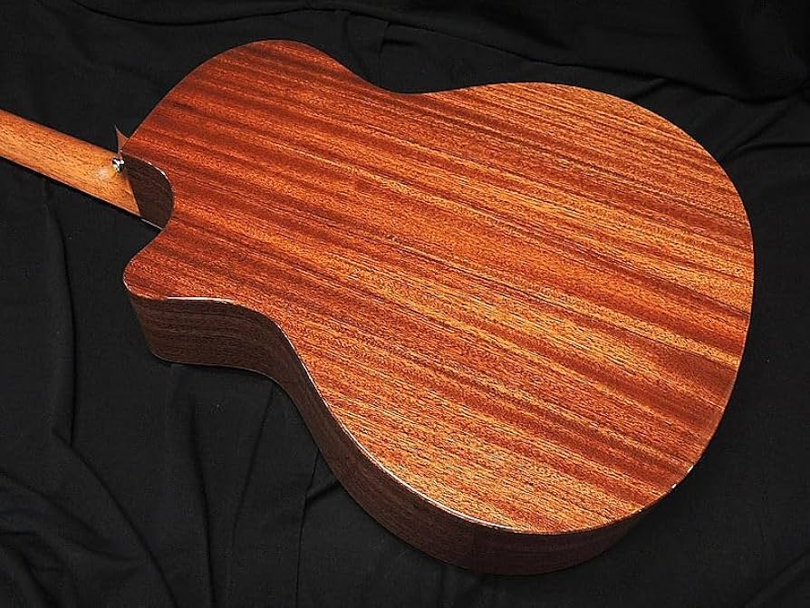 Amazon | Taylor 314ce studio special edition テイラー